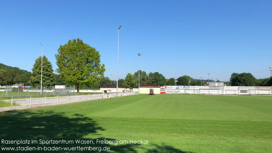 Freiberg am Neckar, Rasenplatz im Sportzentrum Wasen