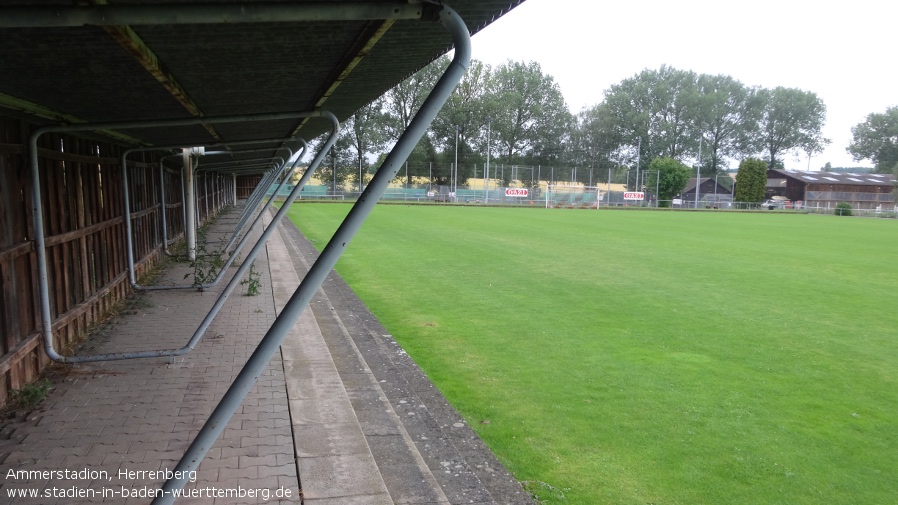 Herrenberg, Ammerstadion