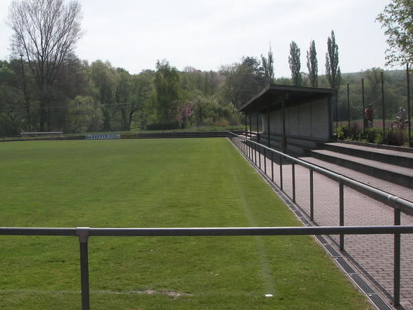 Winzerstadion, Keltern