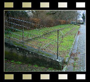 Otto-Hoog-Stadion, Leimen