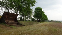 Schwetzingen, DJK-Sportplatz