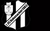 1.FC Hohenacker 1963