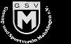 GSV Maichingen