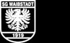 SG Waibstadt 1919