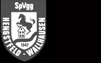 Spvgg Hengstfeld-Wallhausen