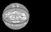 SV Neckarsulm