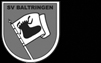 SV Baltringen