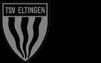 TSV Eltingen