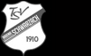 TSV Badenia 1910 Schwarzach