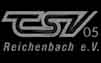 TSV 05 Reichenbach