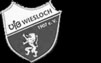 VfB Wiesloch