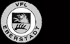 VfL Eberstadt 04