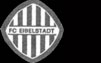 1.FC Eibelstadt