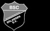 Büchenbacher SC Erlangen (BSC Erlangen)