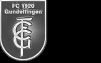 FC 1920 Gundelfingen