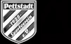 SV Pettstadt 1928