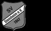 SV Steinheim 1947