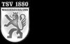 TSV 1880 Wasserburg/Inn