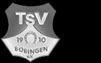 TSV 1910 Bobingen