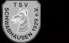 TSV 1929 Schwabhausen