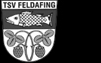 TSV Feldafing 1911