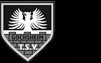 TSV Gochsheim 1906