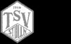 TSV Stulln 1954