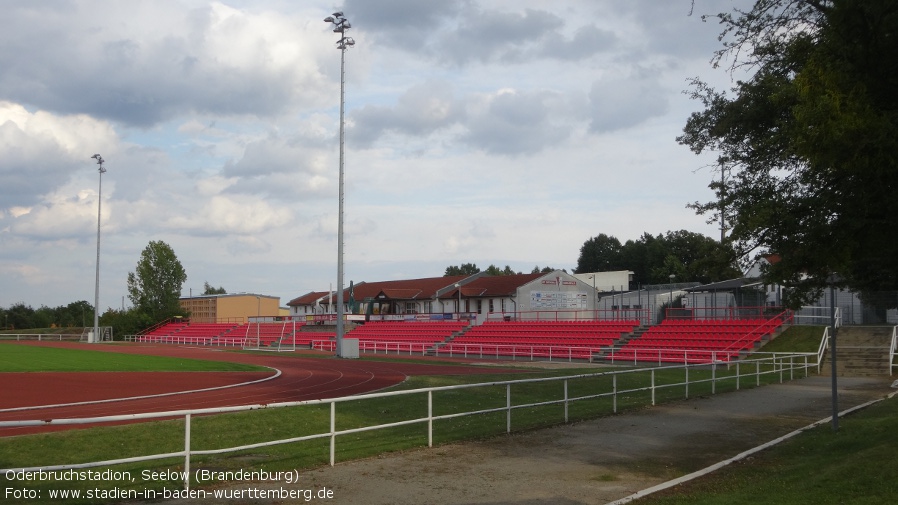 Seelow, Oderbruchstadion