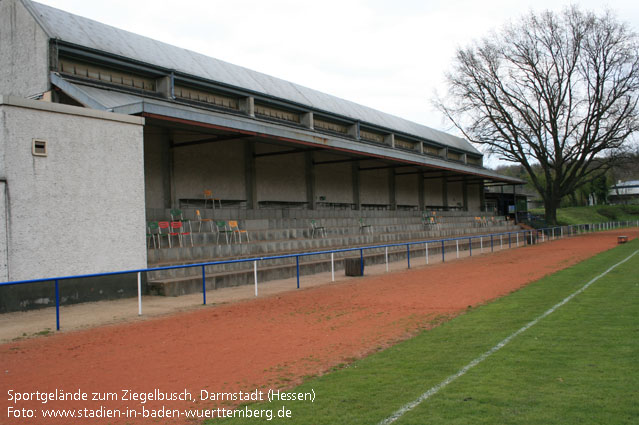 Sportgelände zum Ziegelbusch, Darmstadt (Hessen)