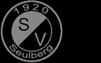 SV 1920 Seulberg