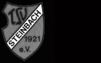 TSV Steinbach 1921