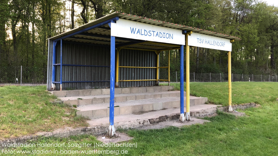 Salzgitter, Waldstadion Hallendorf