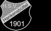 HSV Hankensbüttel 1901
