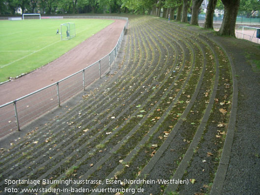 Sportanlage Bäuminghausstraße, Essen