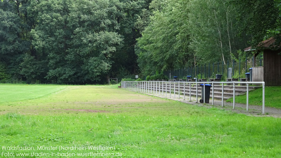 Münster, Waldstadion