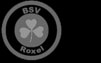 BSV Roxel