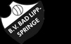 BV 1910 Bad Lippspringe