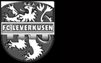 FC Leverkusen
