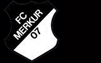 FC Merkur 07 Dortmund