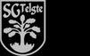SG Telgte 1919
