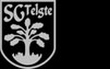 SG Telgte 1919