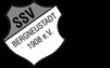 SSV Bergneustadt 1908