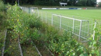 Stadion an der Kinderlehre, Enkenbach-Alsenborn