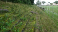 Stadion an der Kinderlehre, Enkenbach-Alsenborn