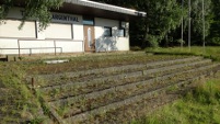 Argenthal, TUS-Jahn-Sportplatz (Rheinland-Pfalz)