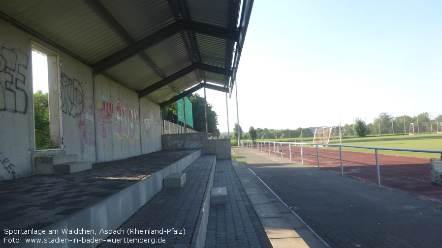 Sportanlage am Wäldchen, Asbach (Rheinland-Pfalz)