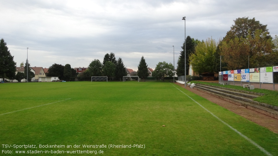 TSV-Sportplatz, Bockenheim an der Weinstraße (Rheinland-Pfalz)