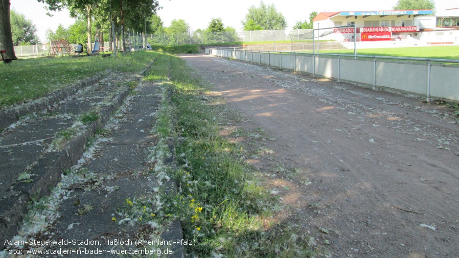 Adam-Stegerwald-Stadion, Haßloch