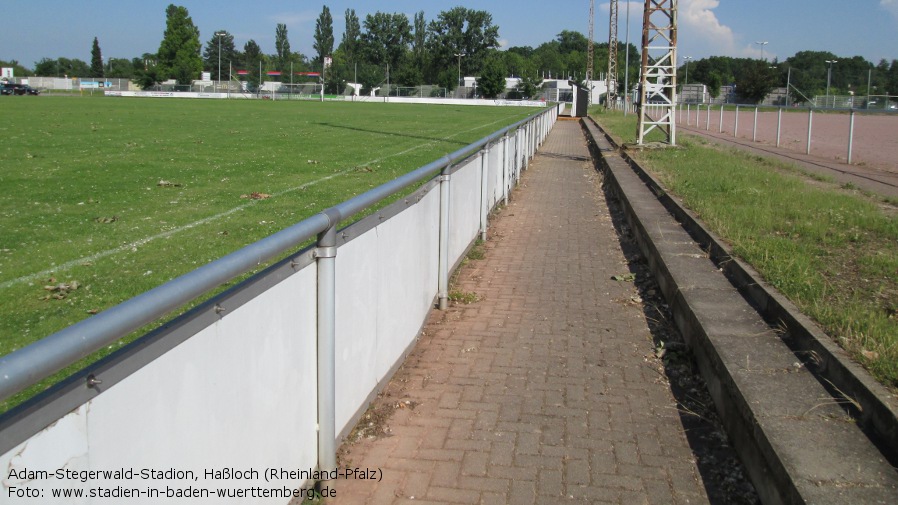 Adam-Stegerwald-Stadion, Haßloch