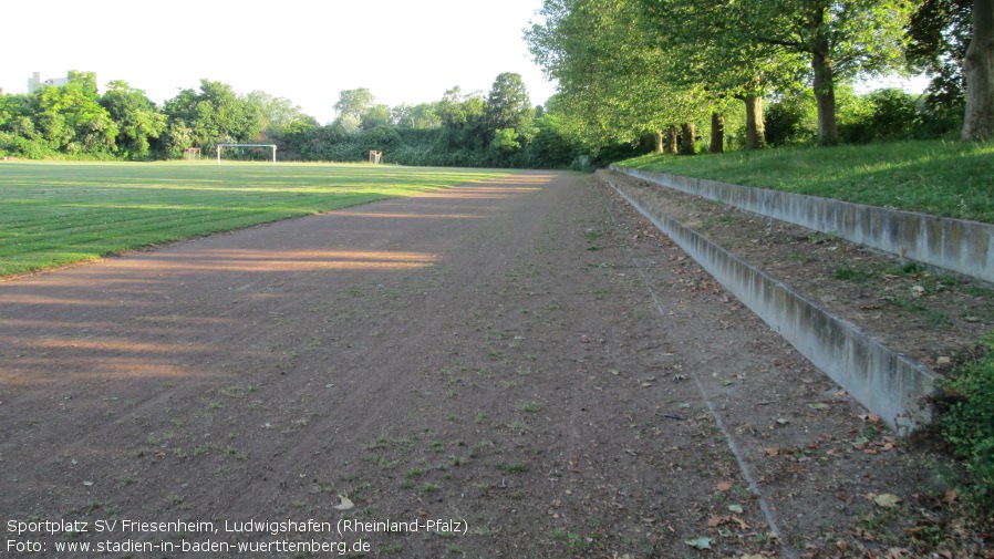  Sportplatz SV Friesenheim, Ludwigshafen